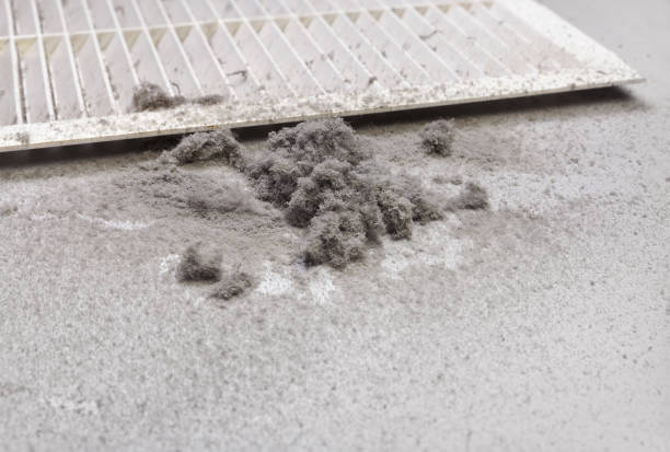 Best Ventilation Cleaning Services  in Rehobeth, AL