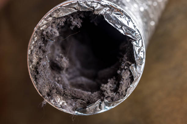Best Affordable Air Duct Cleaning  in Rehobeth, AL