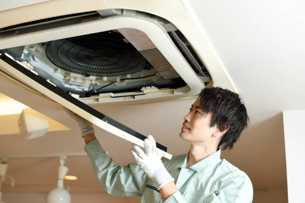 Best Professional Duct Cleaning Services  in Rehobeth, AL
