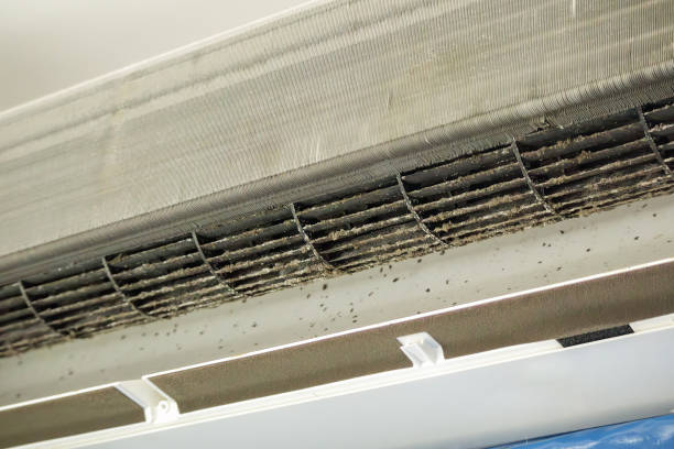 Best Dryer Vent Cleaning Services  in Rehobeth, AL